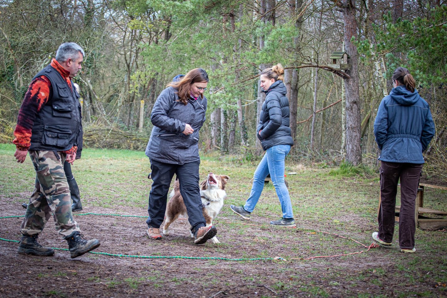 Entrainement Sauvetage surface Calvados Dog's Learning