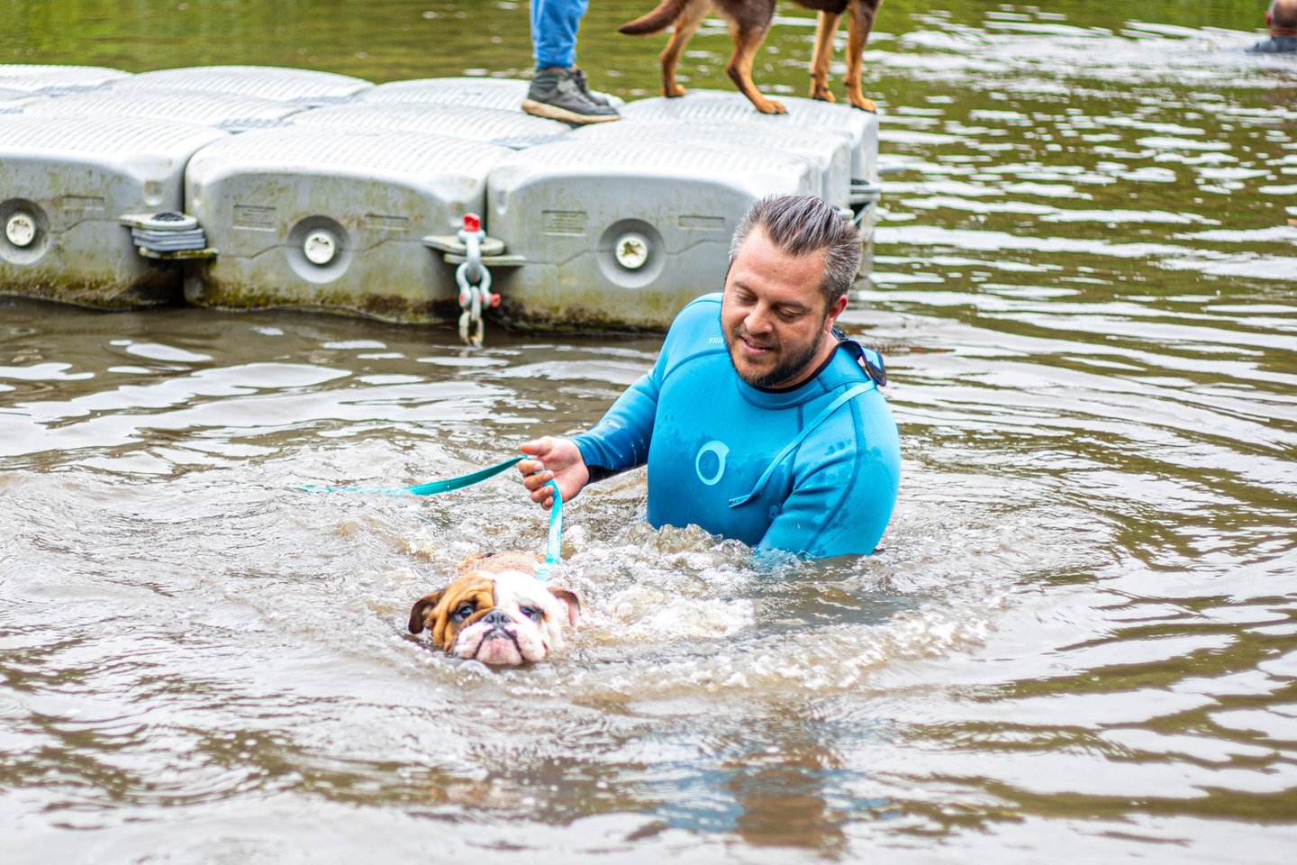 Aqua school, un chien apprend à nager