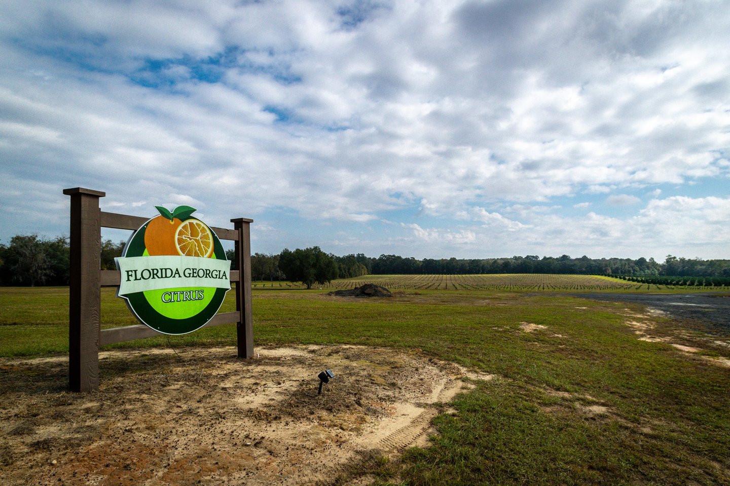 image of signage for citrus farm