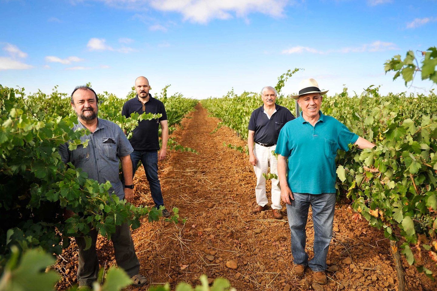 viñedo bodega belote
