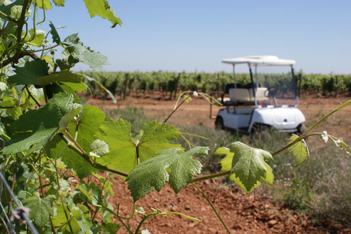enoturismo vile la finca