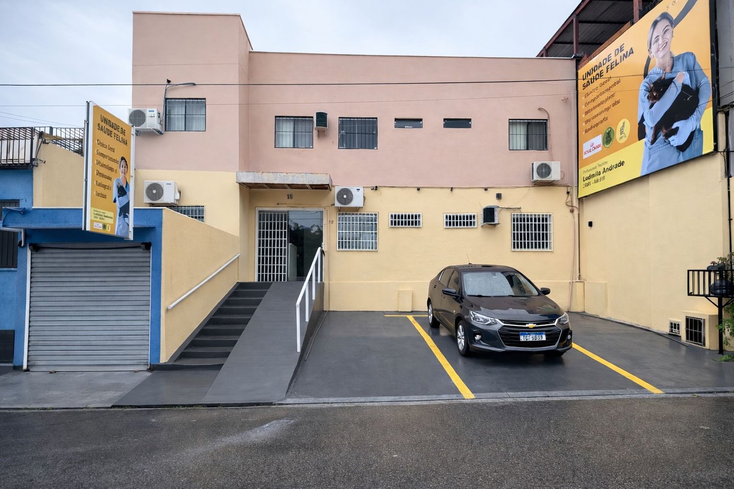 Clínica para gatos em Manaus