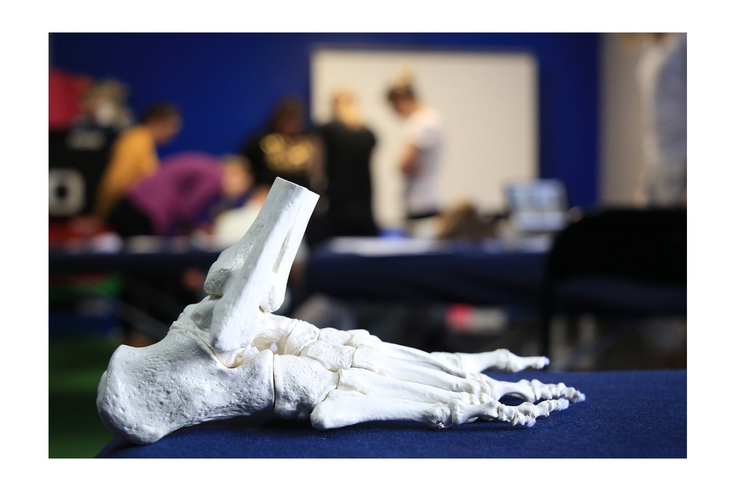 Szkolenie dobór wkładek ortopedycznych