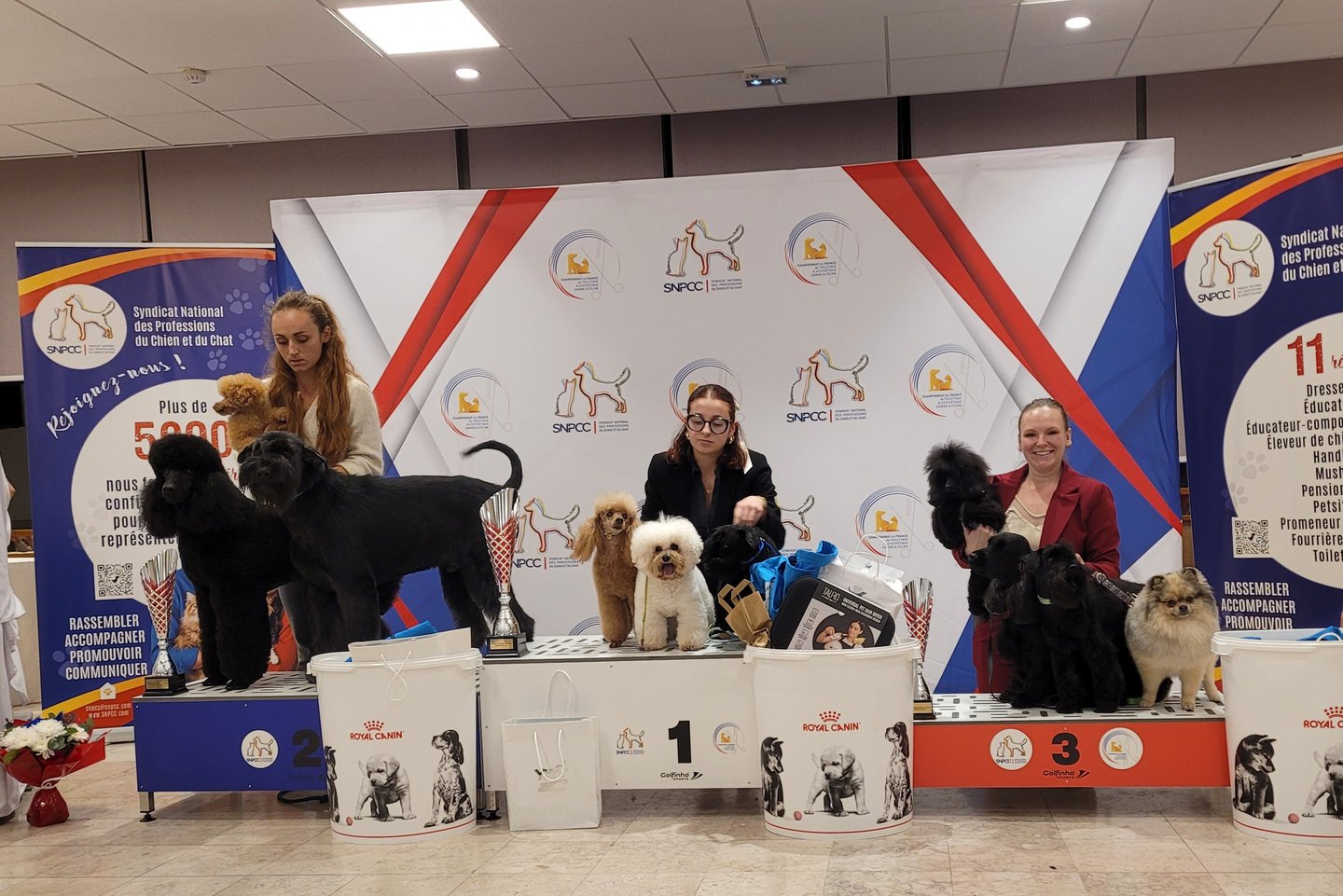 Championnat de France de toilettage 2025