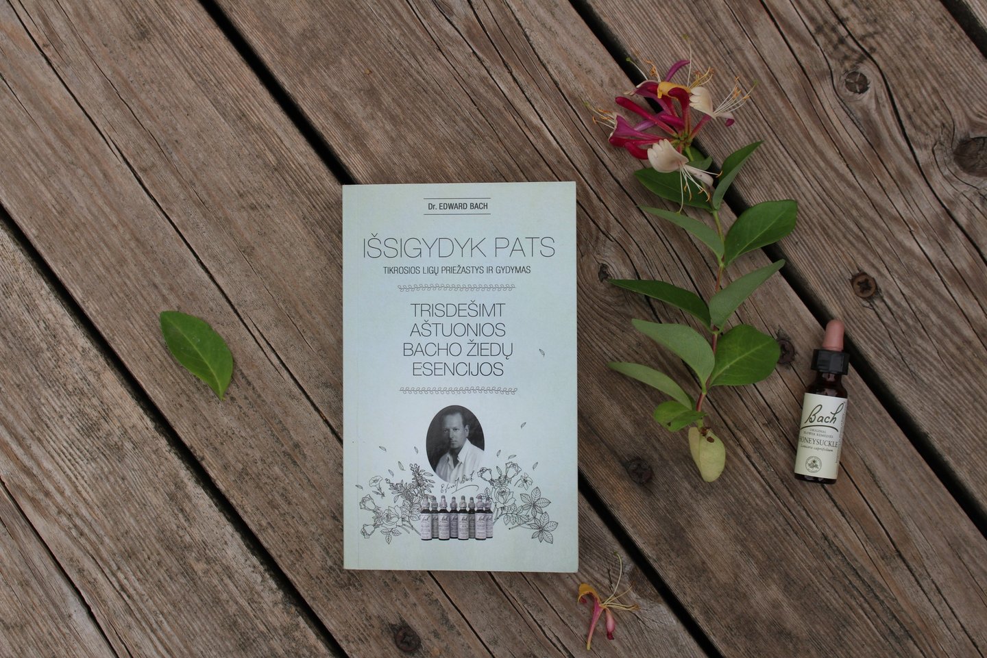 dr.bach flower therapy course