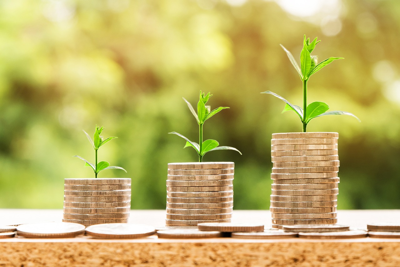 coins with plants sprouting out of them symbolizing growing wealth and compound interest