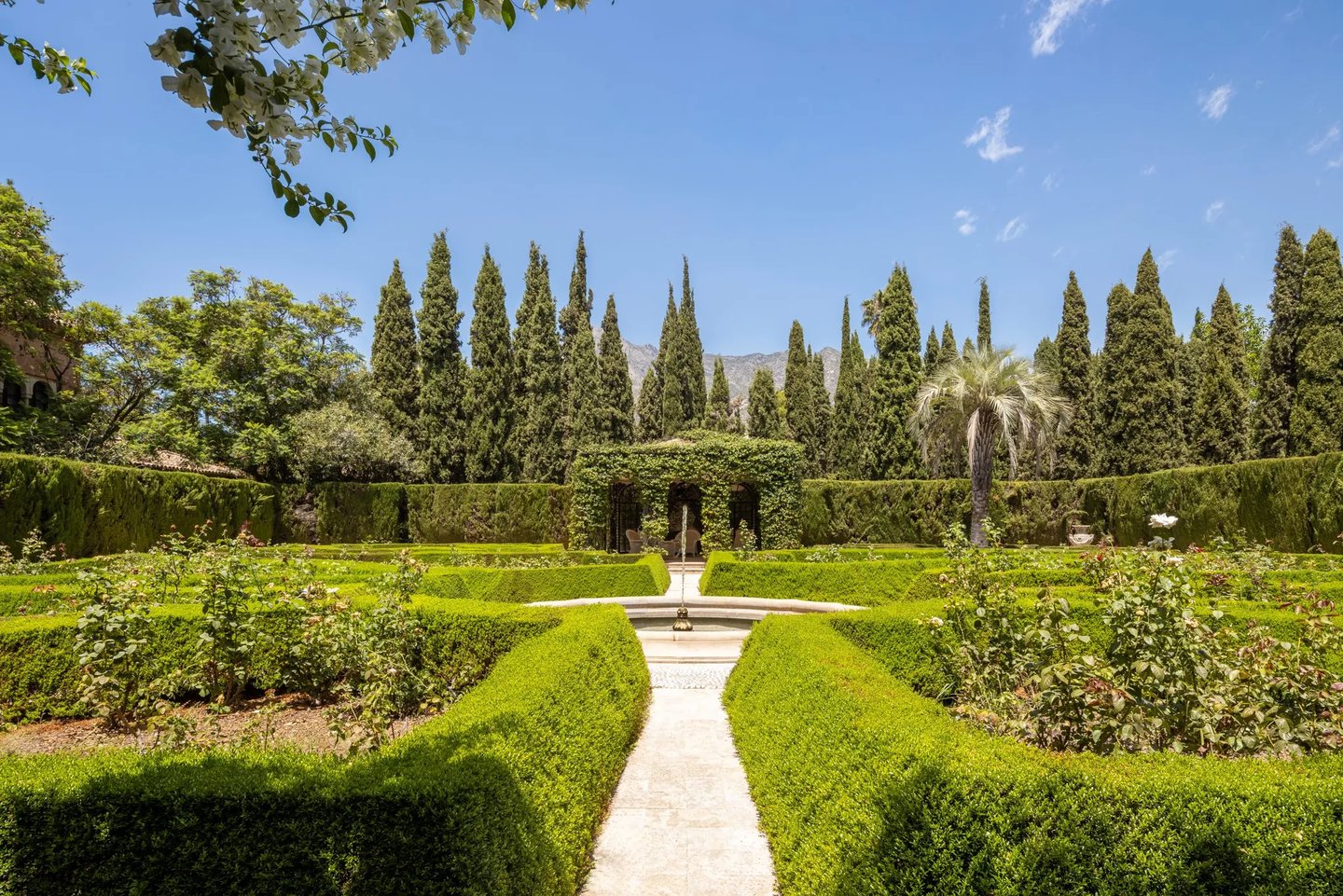 Formal rose garden with clipped hedges and mountain backdrop