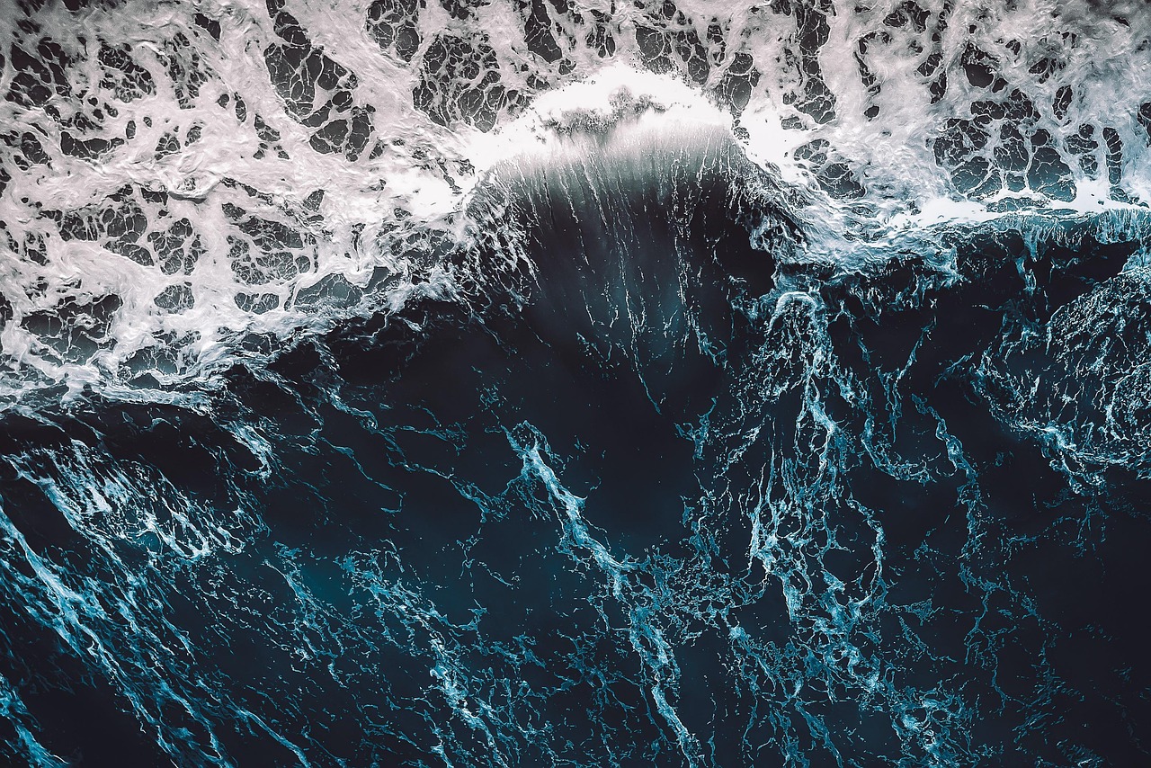 The Future of Clean Oceans: How Technology and Ecology Will Save Our Seas