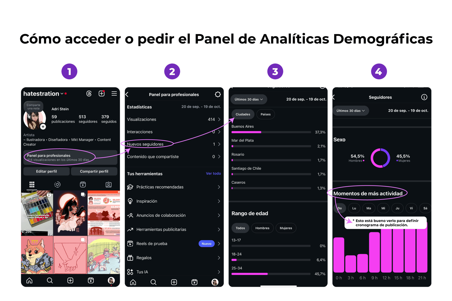 tutorial de como acceder o pedir el papel de analiticas demograficas