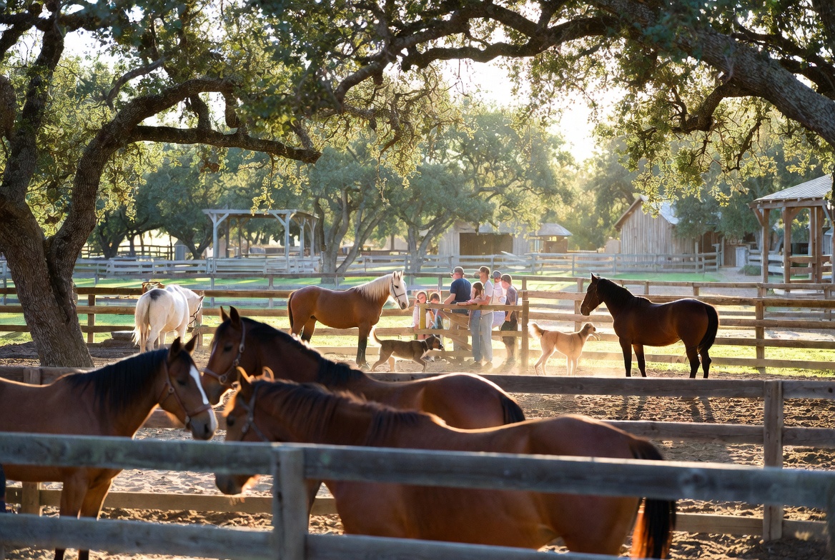 Lone Star Rescue Ranch is being built near Brenham, Texas