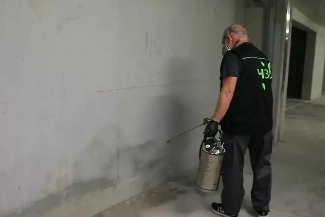 h3dservices nice dératisation désinsectisation