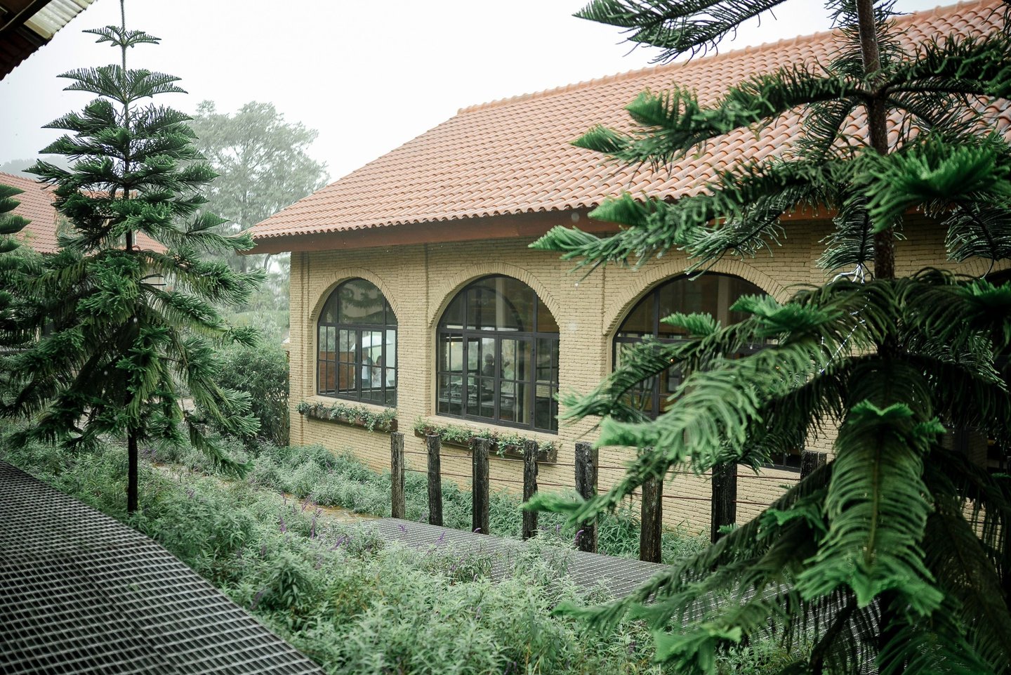 Wooden house view through trees during a family photography session at Bali Farm House Bedugul.