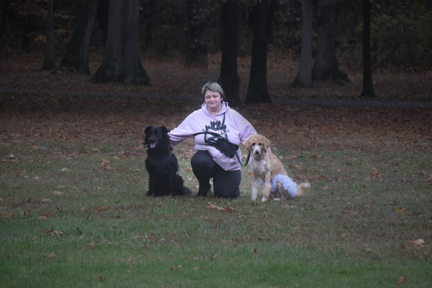 dog trainer with 2 dogs