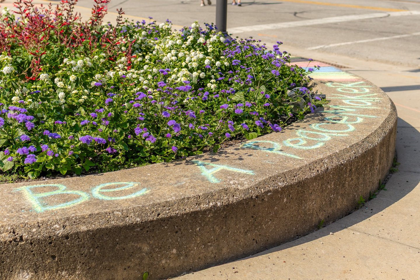 A colorful flower bed with purple ageratum and white lantana next to a Be A Peacemaker chalk message on a concrete curb.