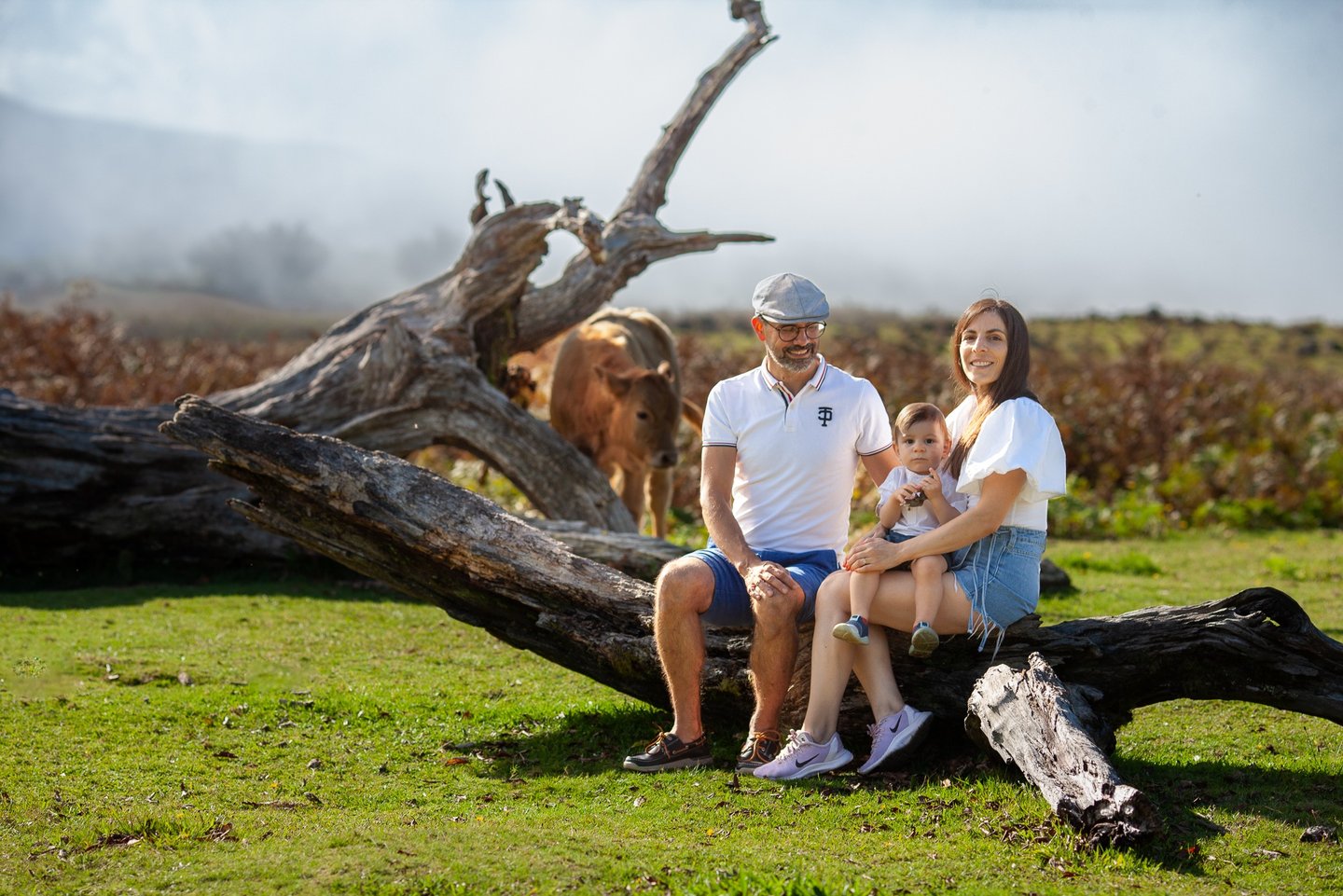 Family sitting together on fallen log in meadow, misty hills and grazing cows visible in background.