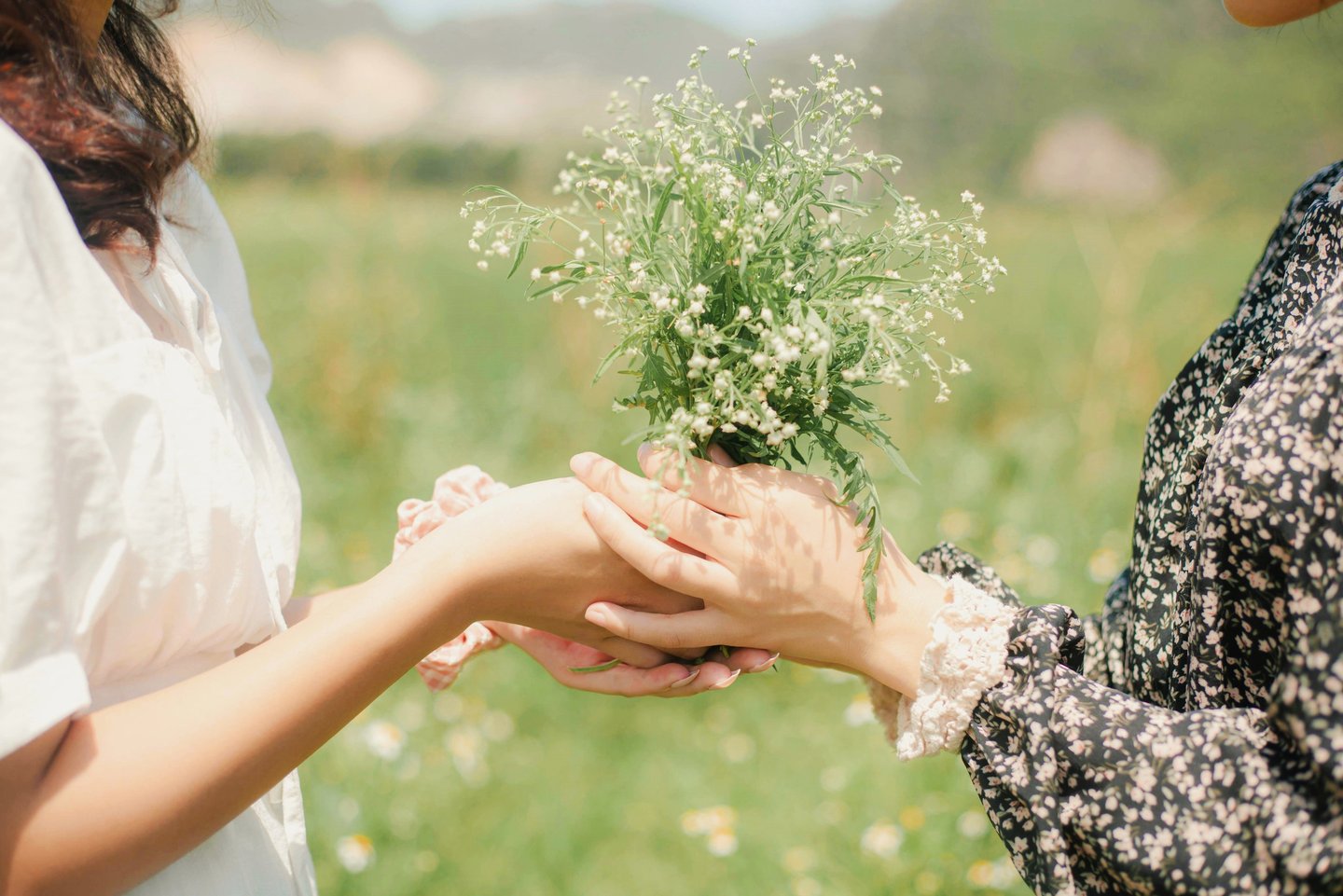 a woman holding a small plant in her hands and sharing with a friend