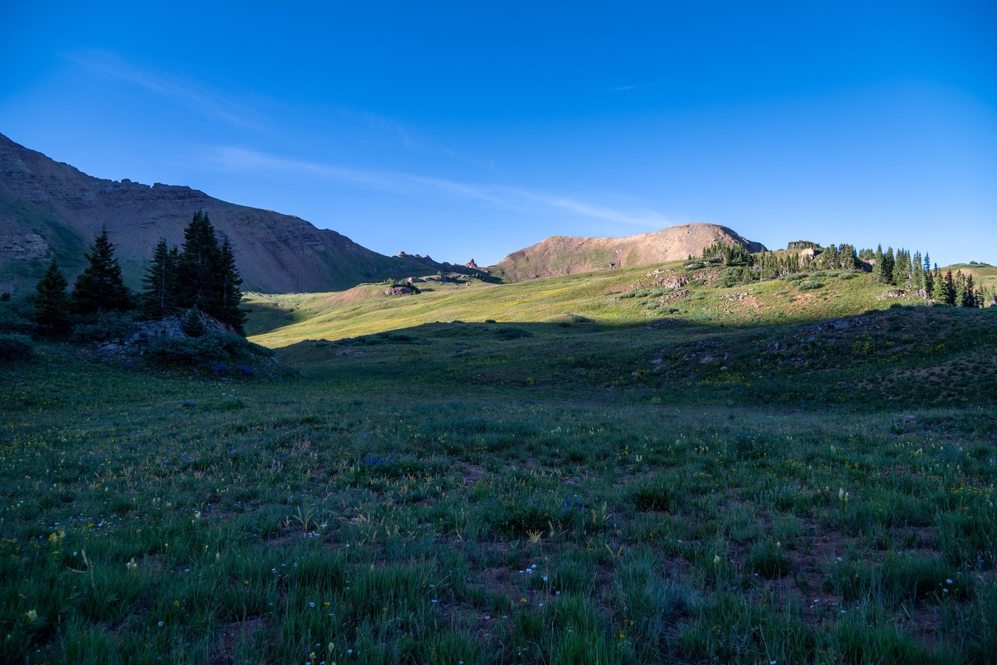 Wildflowers fill a lush basin below West Maroon Pass as sunrise highlights distant mountain peaks 