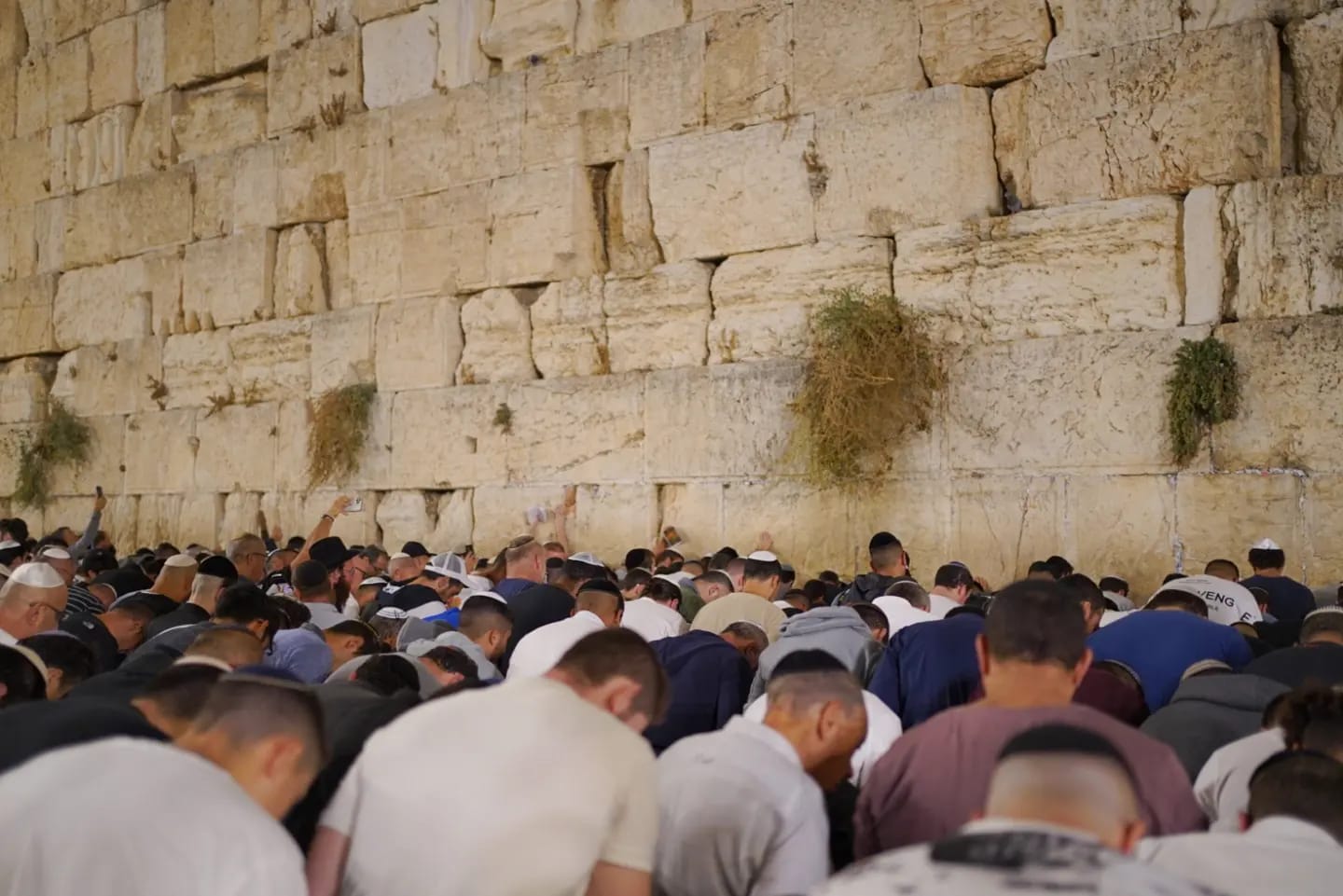 Selichot at the Western Wall Jerusalem, Israel jews praying