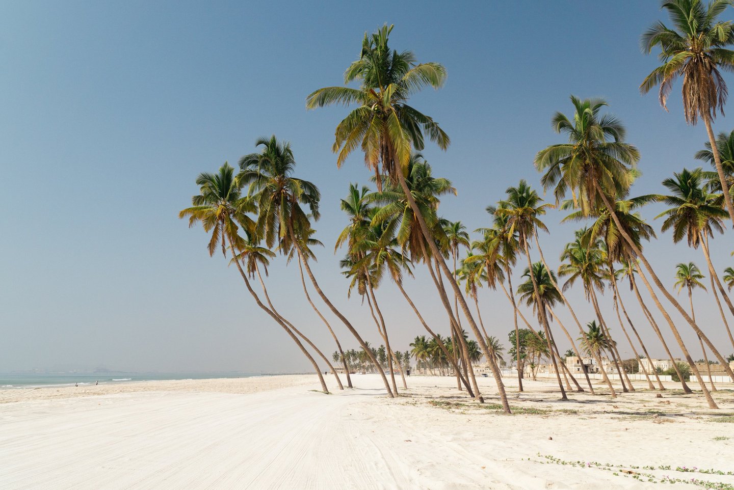 Traumstrand im Oman