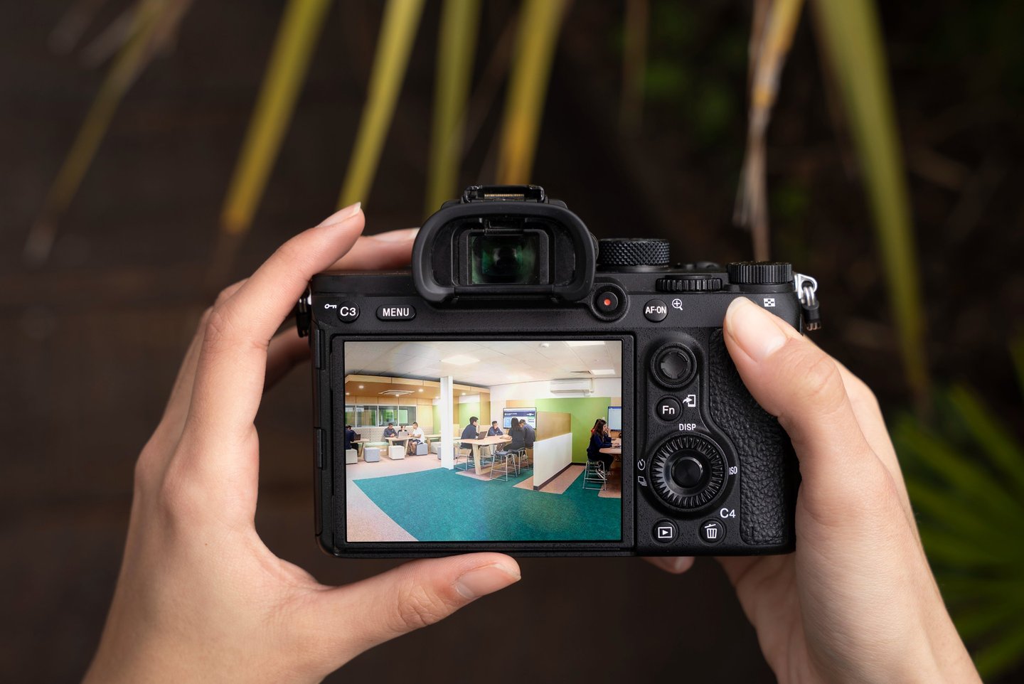 Spruik Education photography