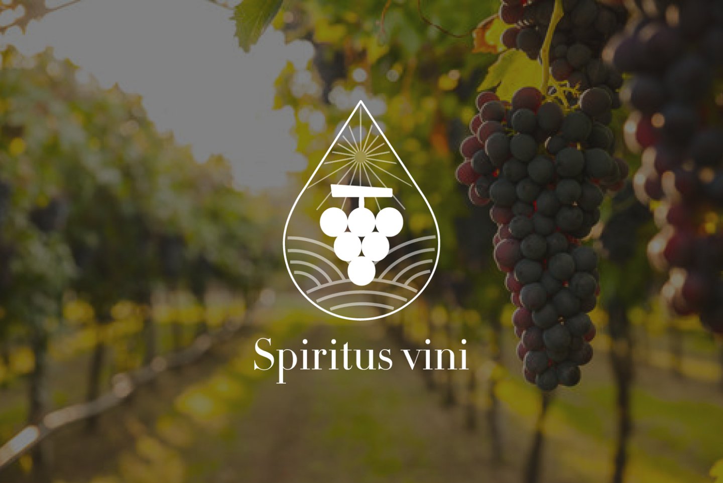 Spiritus Vini marque de vin sans alcool couverture