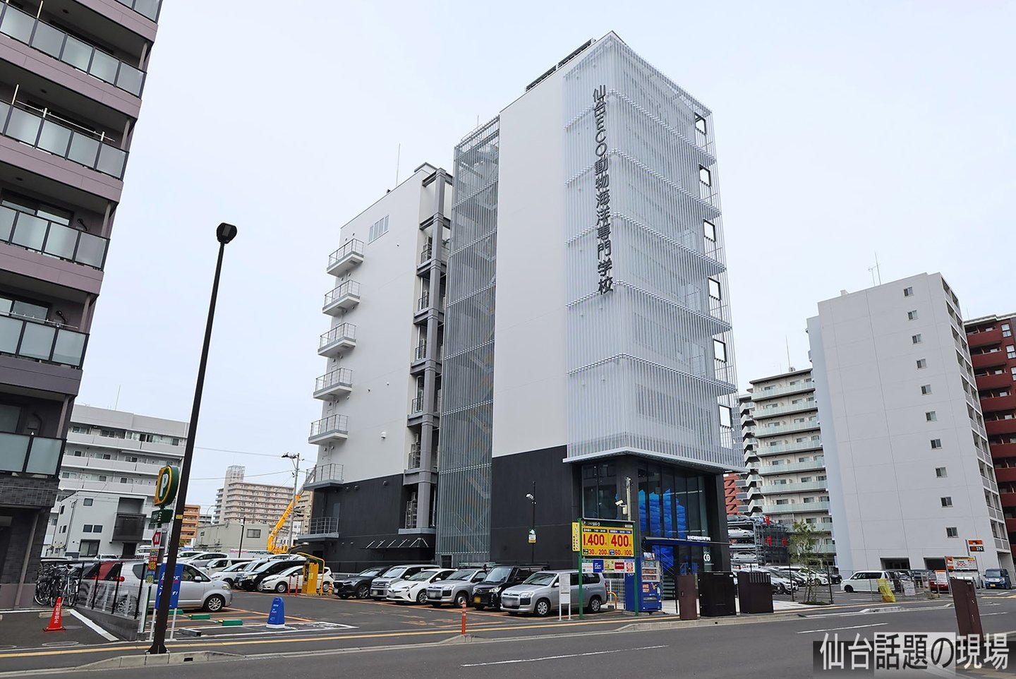 Sendai College of Eco & Animals - Animal Care - Senmon Gakko