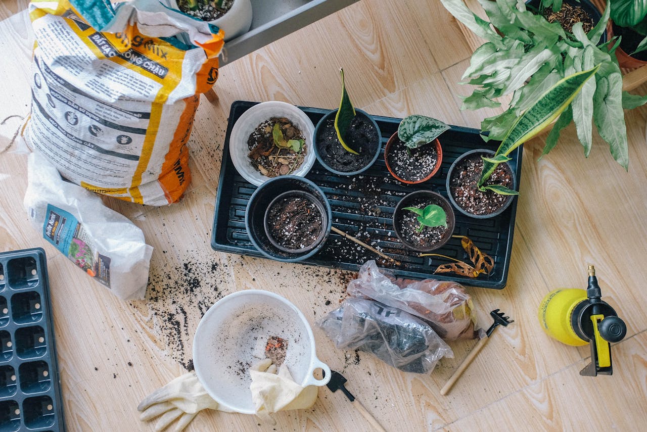 Affordable Hobbies That Enrich Your Life Without Breaking the Bank: Enjoy More, Spend Less