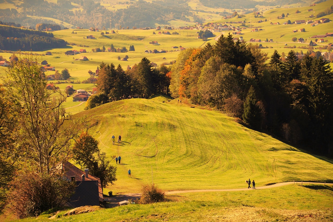 Walking Into Wellness: How Nature Heals the Mind, Body, and Soul