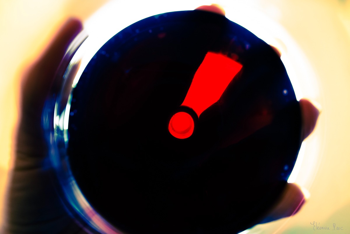 Abstraction Vinicole – Verre de vin tenu en main, éclat rouge en point d’exclamation