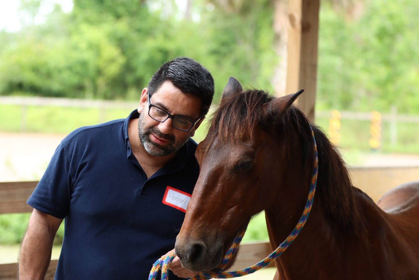 A man with glasses bonding with a brown horse during an equine therapy session.