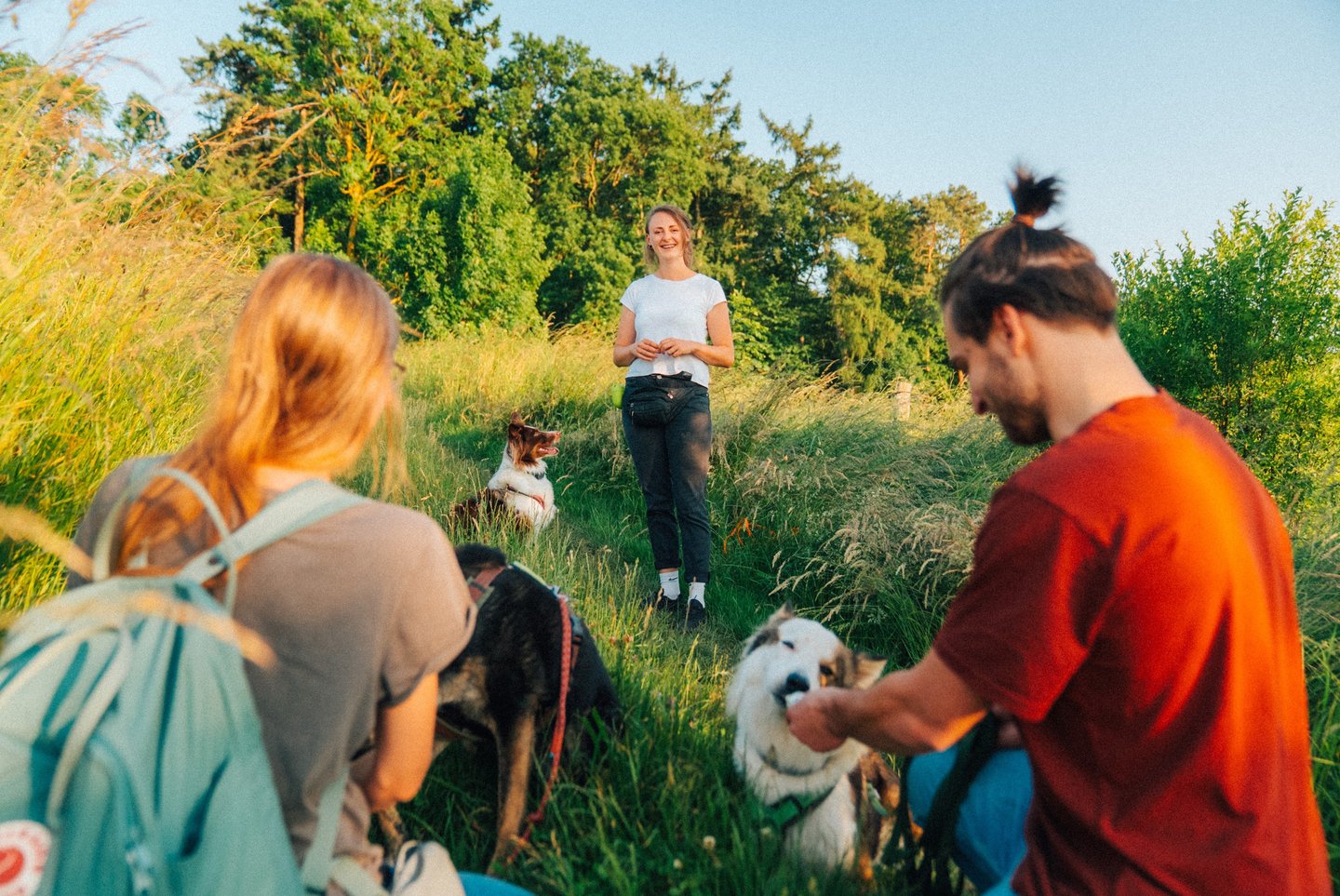 Hundetraining in der Gruppe – Social Walk und Gruppentraining in Göttingen mit Hundeschule Takoda