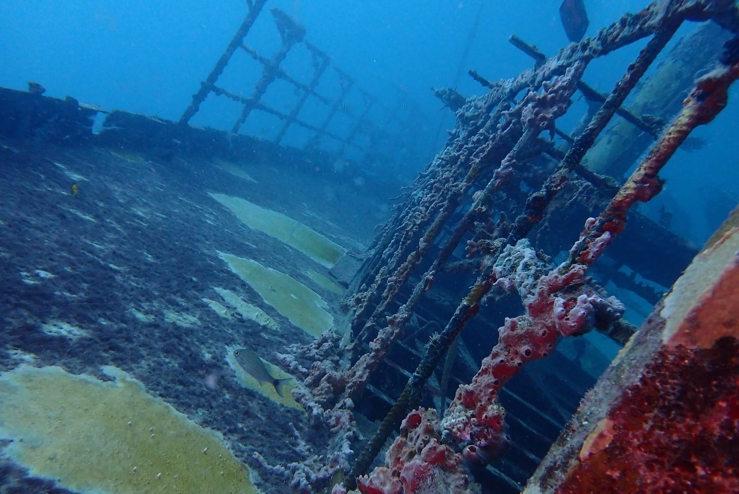 JabJab Wreck