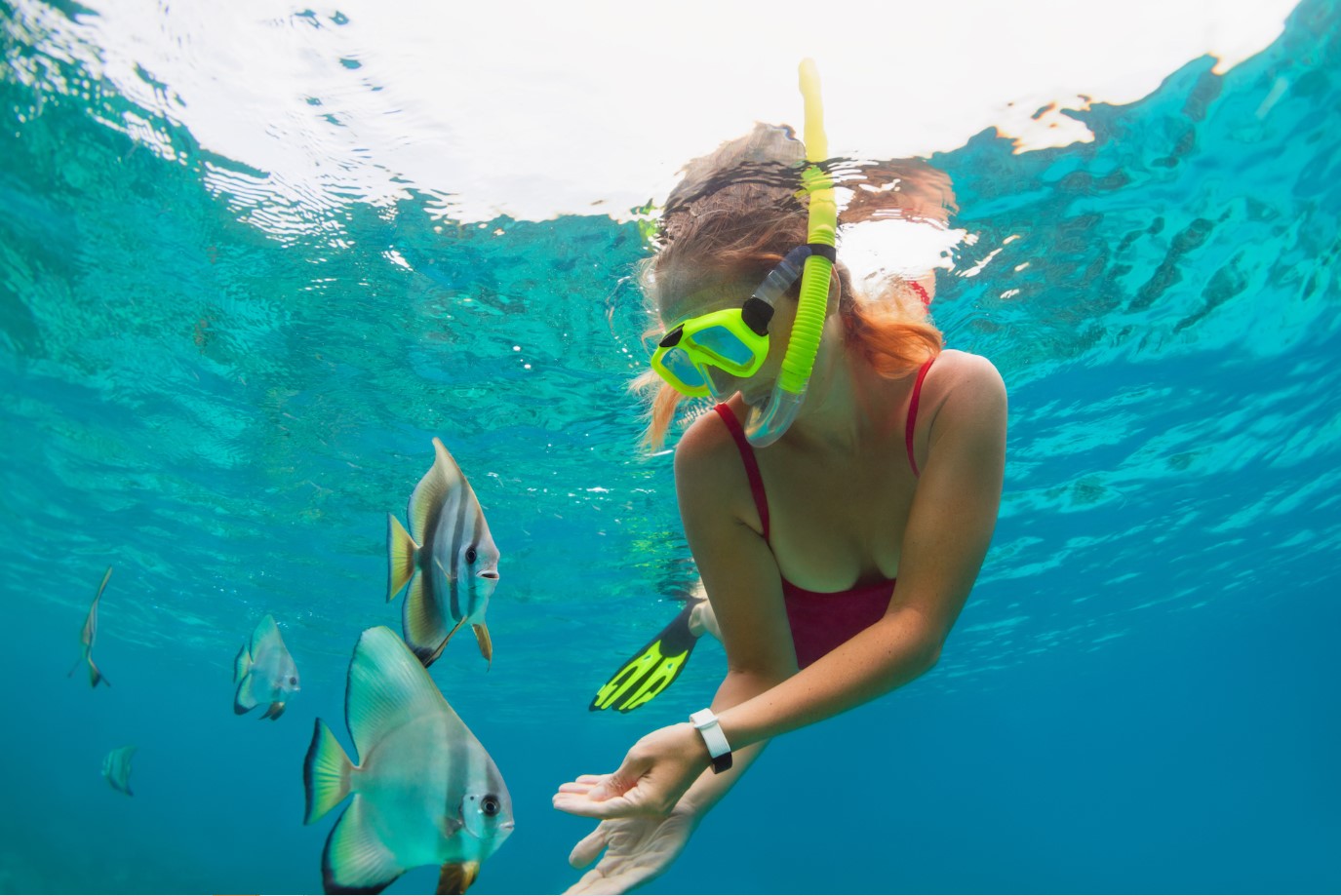 Snorkeling at Virgin Beach Karangasem Bali
