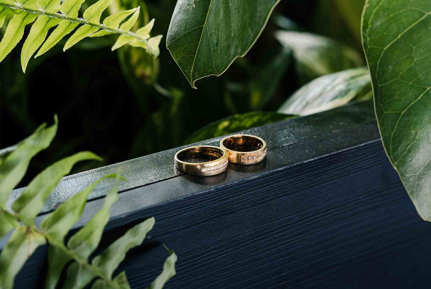Fotografía macro de detalle de anillos de bodas rodeados de plantas verdes en Quito, Ecuador