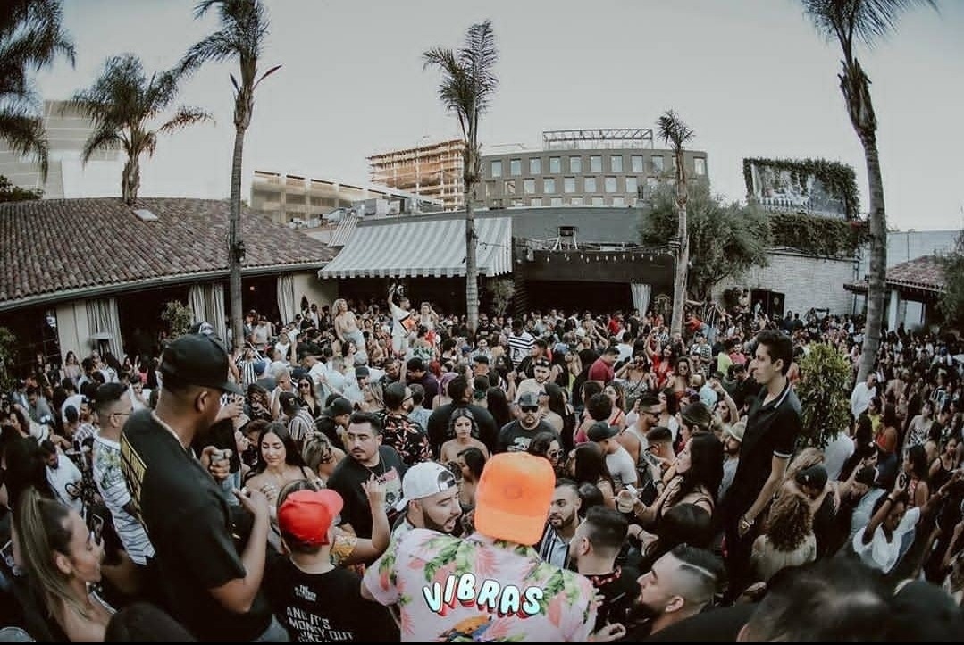 Large crowd at nightclub in with palm trees