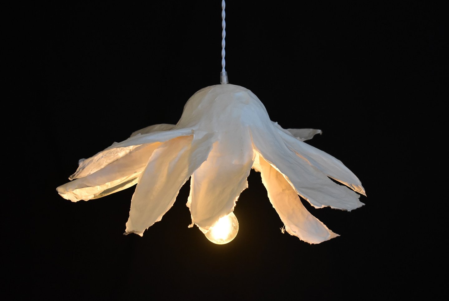 Margueritte sculpture lumineuse