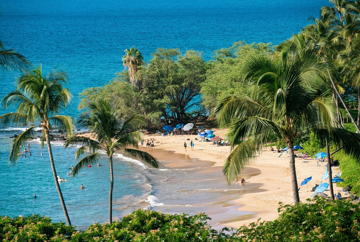 Aerial view of a tropical sandy beach in Hawaii with palm trees, turquoise ocean water, and people sunbathing.