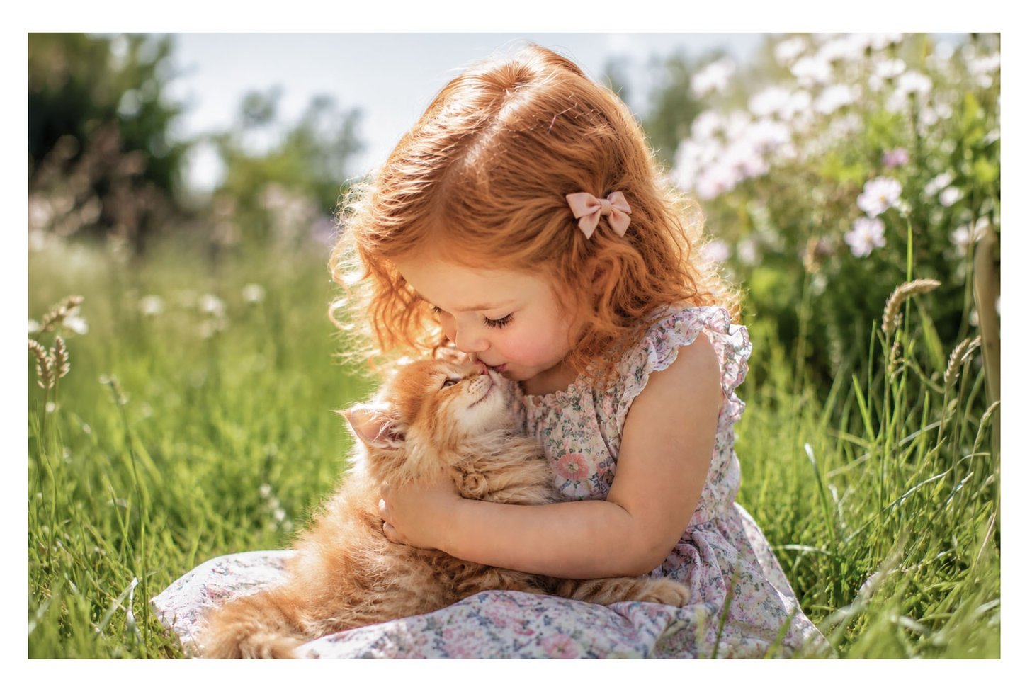 Little girl cuddling a fluffy ginger kitten in a sunny meadow, celebrating kindness and a love of animals.
