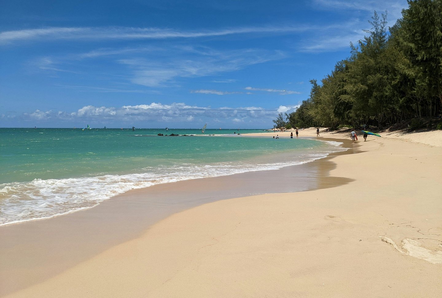 Tropical sandy beach on Maui with turquoise ocean waves and windsurfers under a clear blue sky.