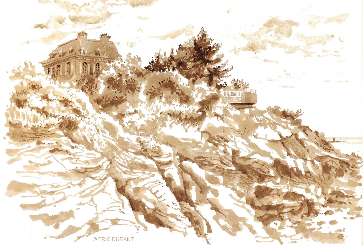 Lavis de brou de noix  sur papier A4 - © Eric Durant