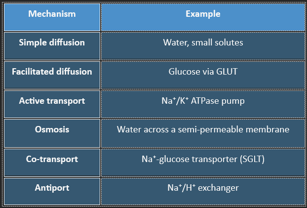 Transport Mechanism
