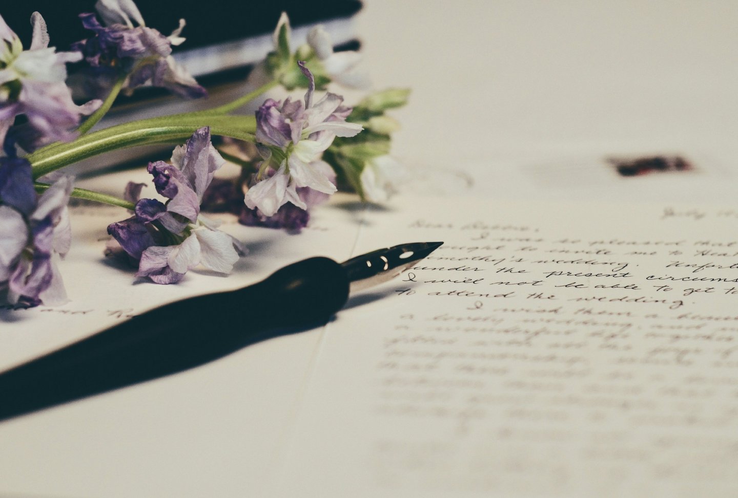Image of purple flowers on paper. Photo credit: Unsplash and Debby Hudson