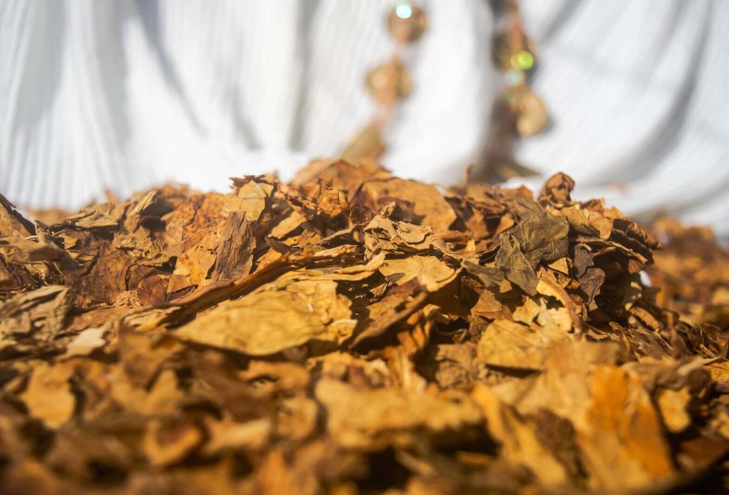 Tabaco ceremonial trozado a mano, puchos ancestrales, cigarrillos herbales