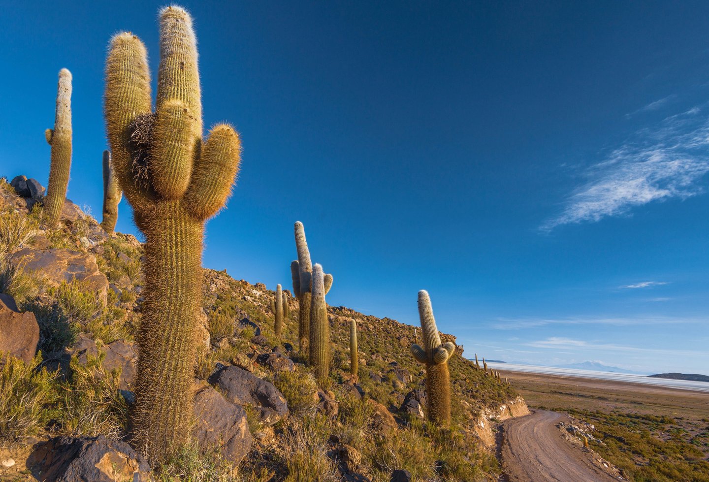 Atacama Desert & Uyuni Salt Flats Photography Tour 11 Days