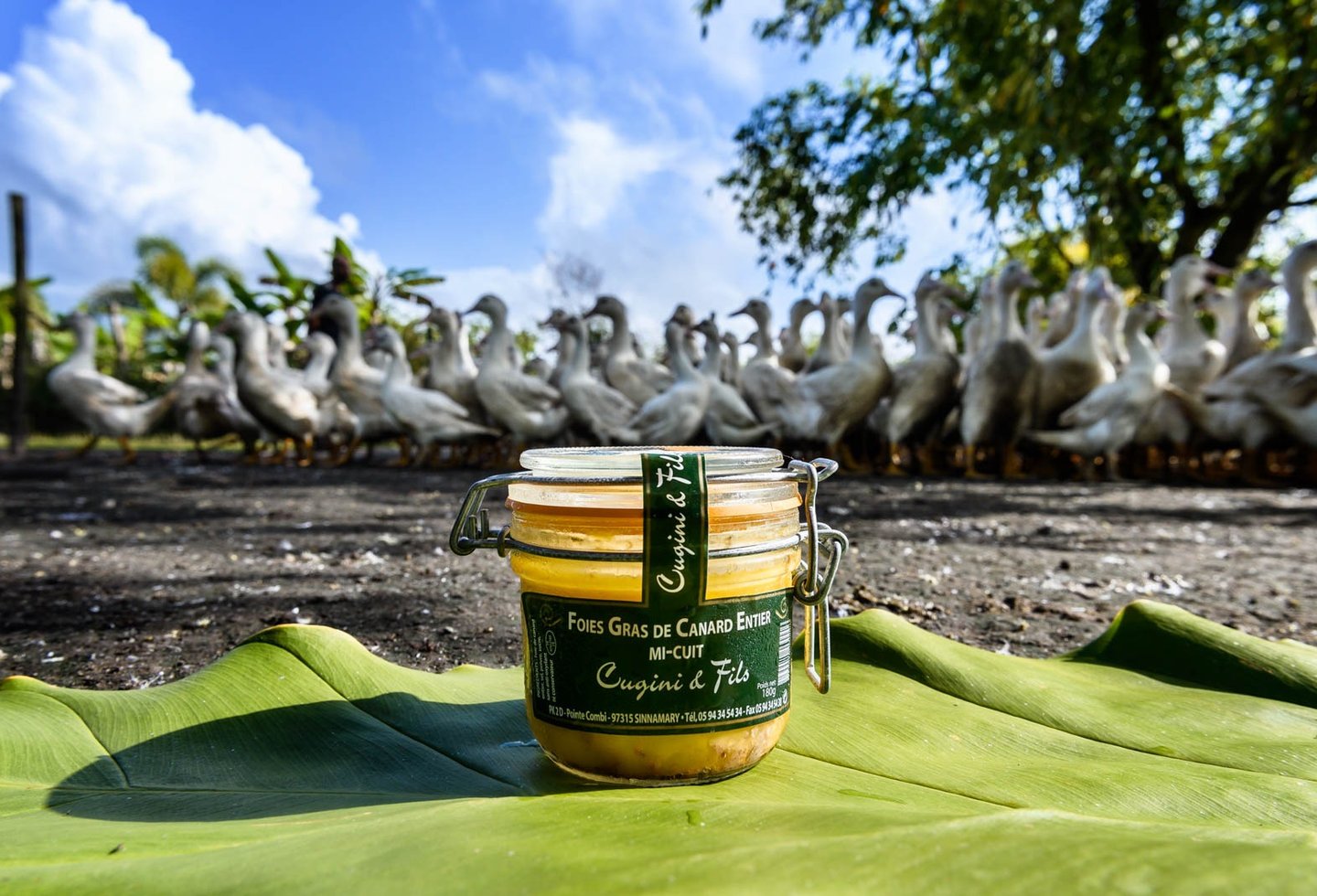 Un bloc de foie gras devant de nombreux canards