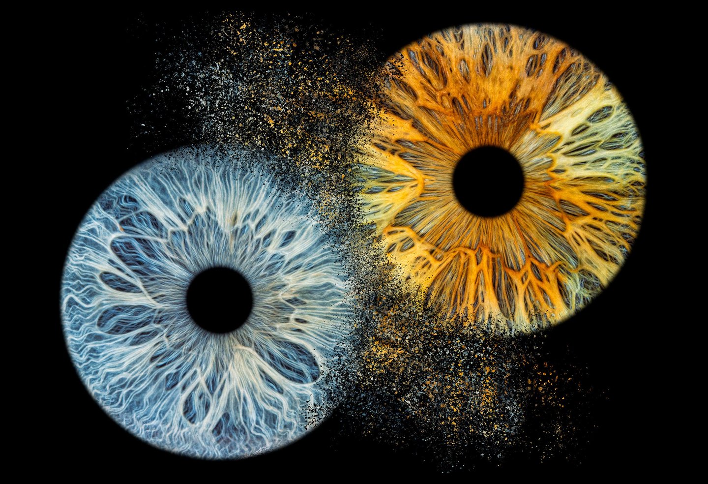 a close up of a pair of eyes with a black background