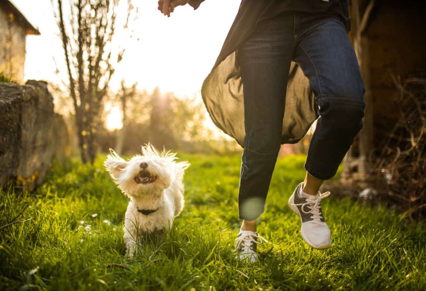 The bond between a human and their animal companion