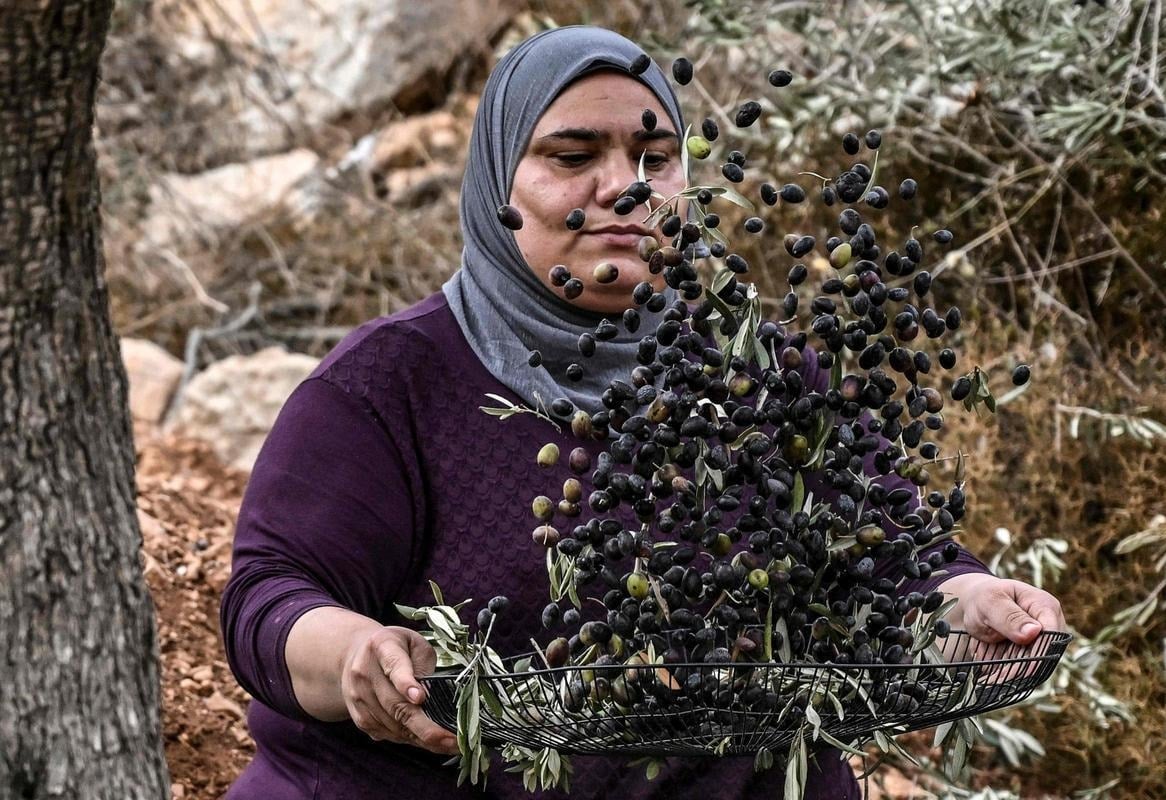 Help Palestinian families with your donations