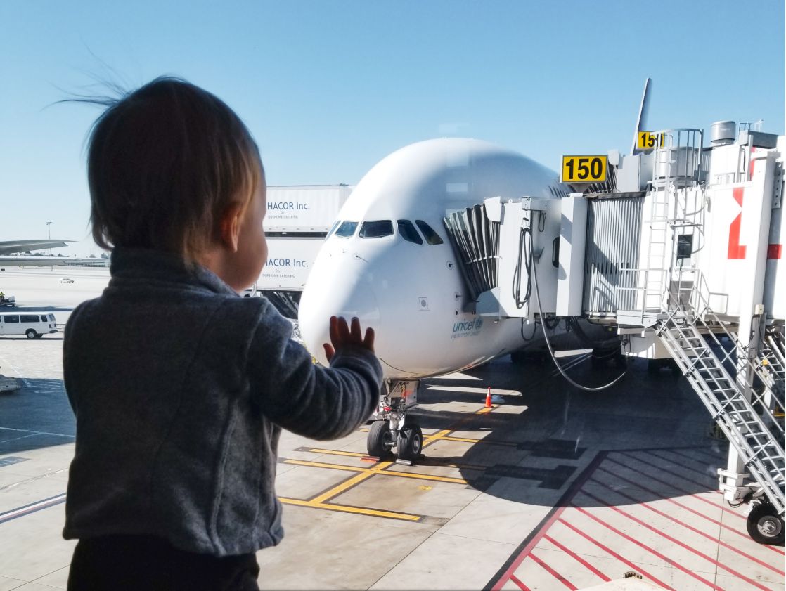 Safety of Air Travel by Unaccompanied Minors  (Children Traveling Alone by Air)