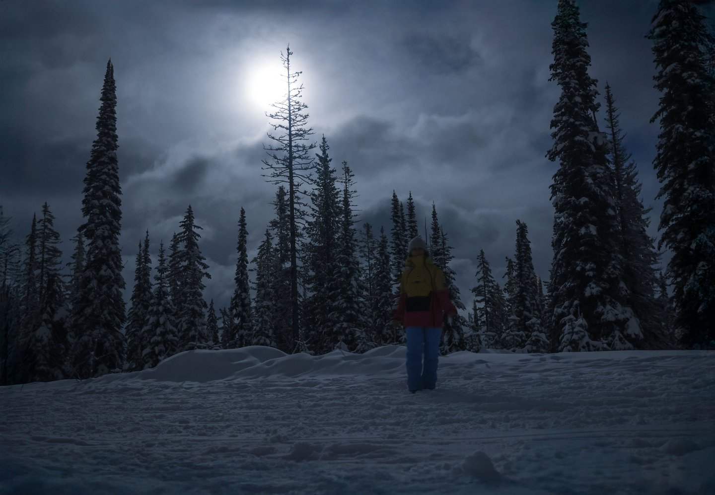 A person standing in the snow among tall spruce and pine trees, lit by a full moon.